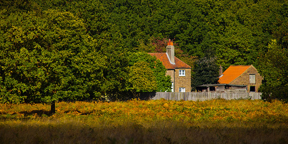 Richmond Park, England