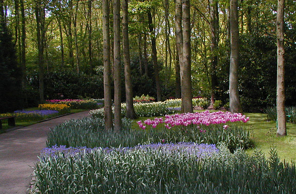 Walk in the Park, Netherlands