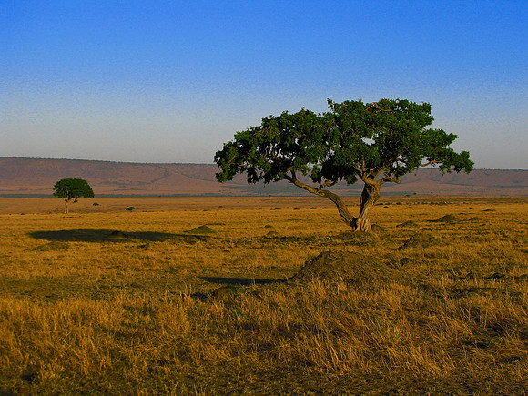 Kenya
