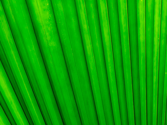 Seeing Green