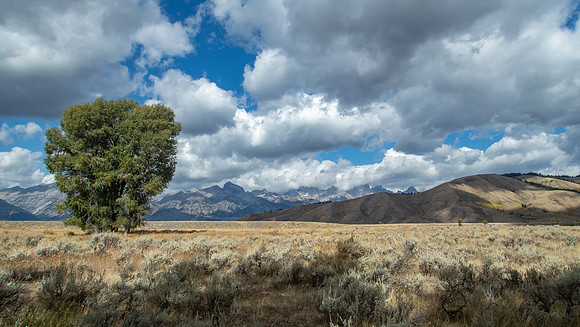 Wyoming