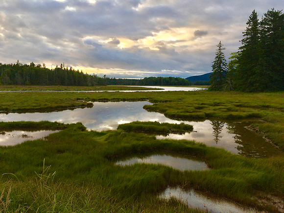 Maine