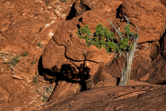 Sedona, Arizona