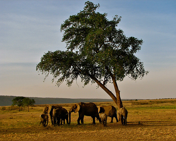 Family Gathering  Kenya