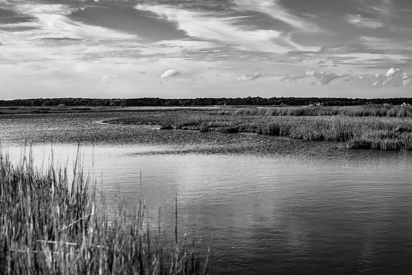 Lazy Days ~ Assateague, Maryland