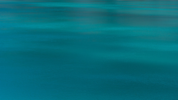 Tides of Life