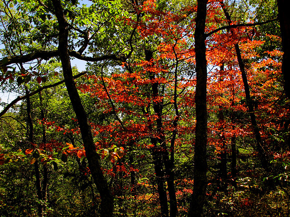 Autumn Colors United States