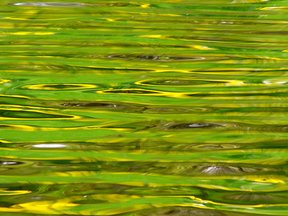 Ripple Effect